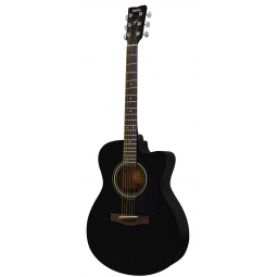 FS100C (Black), зображення 1